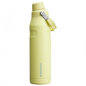 Pomelo Stanley IceFlow Insulated Bottle with Fast Flow Lid | 36 OZ | USMO74285