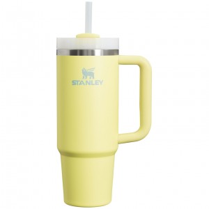 Pomelo Stanley Quencher H2.0 Travel Tumbler | 30 OZ | TAJG56901