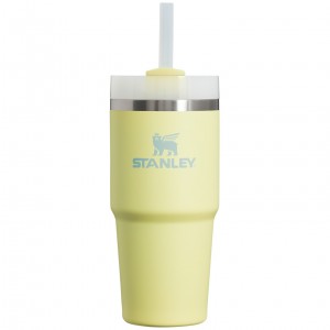 Pomelo Stanley Quencher H2.0 Travel Tumbler | 14 OZ | HTRG52978