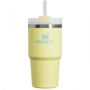 Pomelo Stanley Quencher H2.0 Travel Tumbler | 20 OZ | HMBA35180