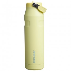 Pomelo Stanley The IceFlow™ Bottle with Flip Straw Lid | 36 oz | GMHB56918