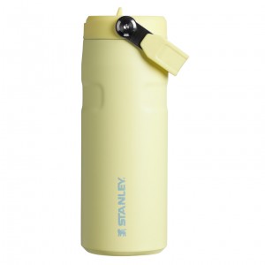 Pomelo Stanley The IceFlow™ Bottle with Flip Straw Lid | 16 oz | DSZG65830