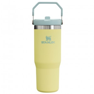 Pomelo Stanley The IceFlow Flip Straw Tumbler | 30 OZ | Insulated Water | OFNC34268