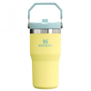 Pomelo Stanley The IceFlow Flip Straw Tumbler | 20 OZ | Insulated Water Bottle | TOIF57693