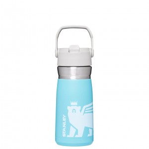 Pool Cub Stanley The Wild Imagination IceFlow Flip Straw Water Bottle | 17 OZ | DORZ91084