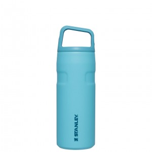 Pool Stanley IceFlow™ Bottle with Cap and Carry+ Lid | 16 OZ | VZJL28549