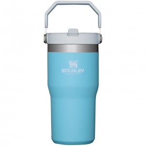 Pool Stanley The IceFlow Flip Straw Tumbler | 20 OZ | Insulated Water Tumbler | Sta | TCMY04327