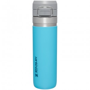 Pool Stanley The Quick Flip Go Water Bottle | 24 OZ | LRQZ38214