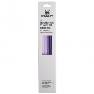 Purple Stanley Replacement Straw 4 Pack | 40 OZ Quencher Tumbler | KIWT30681