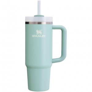 Seafoam Stanley Quencher H2.0 Travel Tumbler | 30 OZ | SBPJ97813