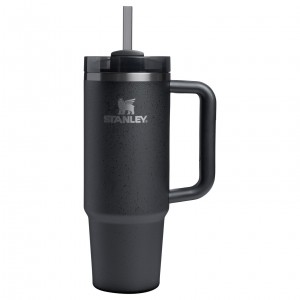 Shadow Moon Stanley The Fall Refresh Quencher H2.O FlowState™ Tumbler I 30 OZ - Stanley Cr | FJIY68247