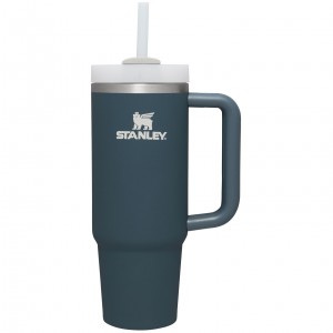 Stormy Sea Stanley Quencher H2.0 Travel Tumbler | Soft Matte | 30 OZ | RQAU96145