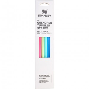 Summer Stanley Replacement Straw 4 Pack | 30 oz Quencher Tumbler | GKND75182