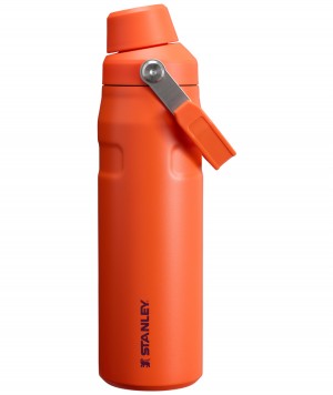 Tigerlily Plum Stanley IceFlow Insulated Bottle with Fast Flow Lid | 24 OZ | MGLU41297