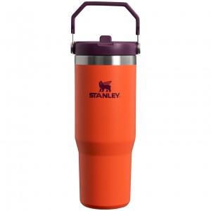 Tigerlily Plum Stanley The IceFlow Flip Straw Tumbler | 30 OZ | Insulated Water | MSZC12968