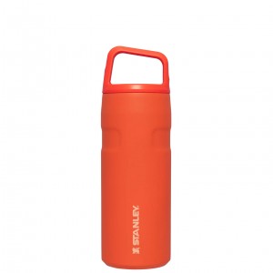 Tigerlily Stanley IceFlow™ Bottle with Cap and Carry+ Lid | 16 OZ | FOXP46019