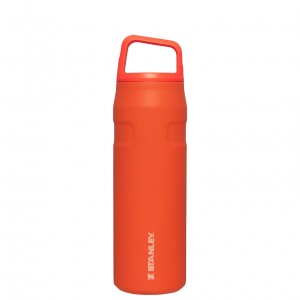 Tigerlily Stanley IceFlow™ Bottle with Cap and Carry+ Lid | 24 OZ | AKRY68594