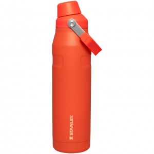 Tigerlily Stanley IceFlow Insulated Bottle with Fast Flow Lid | 36 OZ | UKGD48976