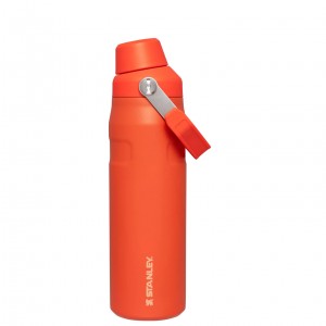 Tigerlily Stanley IceFlow Insulated Bottle with Fast Flow Lid | 24 OZ | IEFA98467