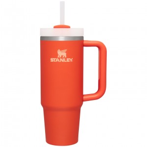 Tigerlily Stanley Quencher H2.0 Travel Tumbler | 30 OZ | FMQV73286