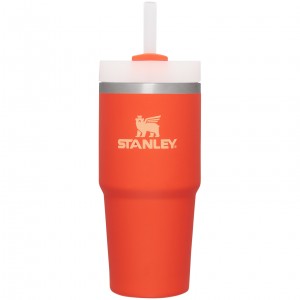 Tigerlily Stanley Quencher H2.0 Travel Tumbler | 14 OZ | NZBP80597