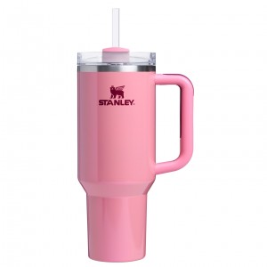 Winter Berry Shimmer Stanley The Quencher H2.0 FlowState™ Tumbler | 40 OZ | FGMV12830