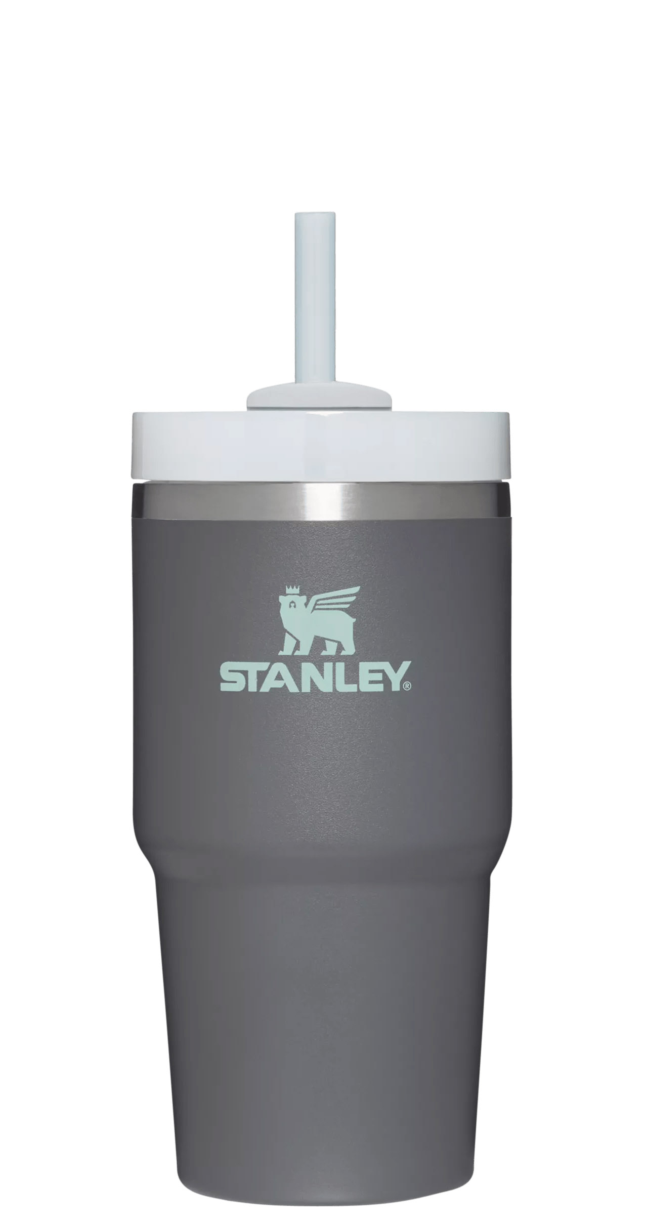 Charcoal Stanley Quencher H2.0 Travel Tumbler | 20 OZ | HAQU43617