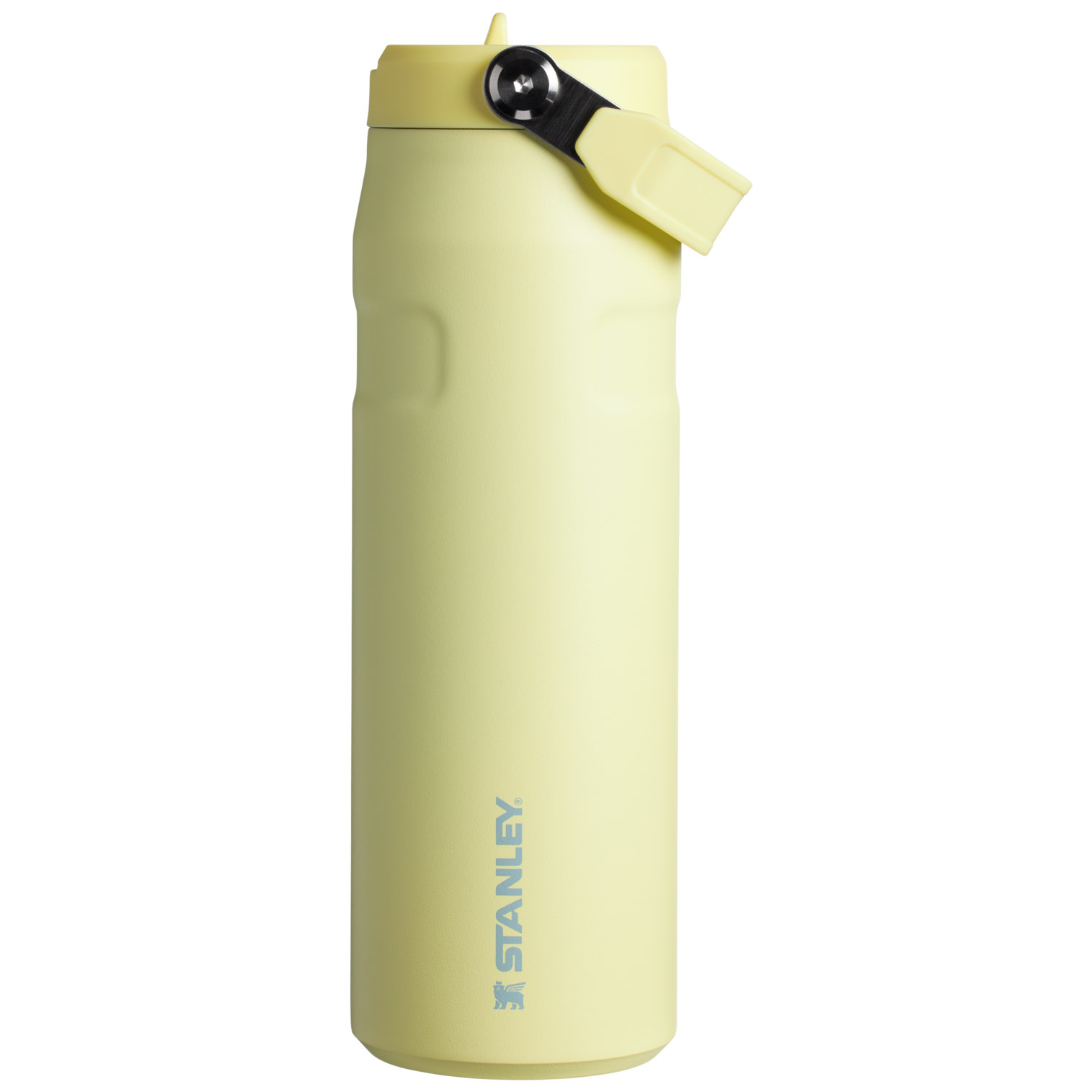 Pomelo Stanley The IceFlow™ Bottle with Flip Straw Lid | 24 OZ | IULE16507