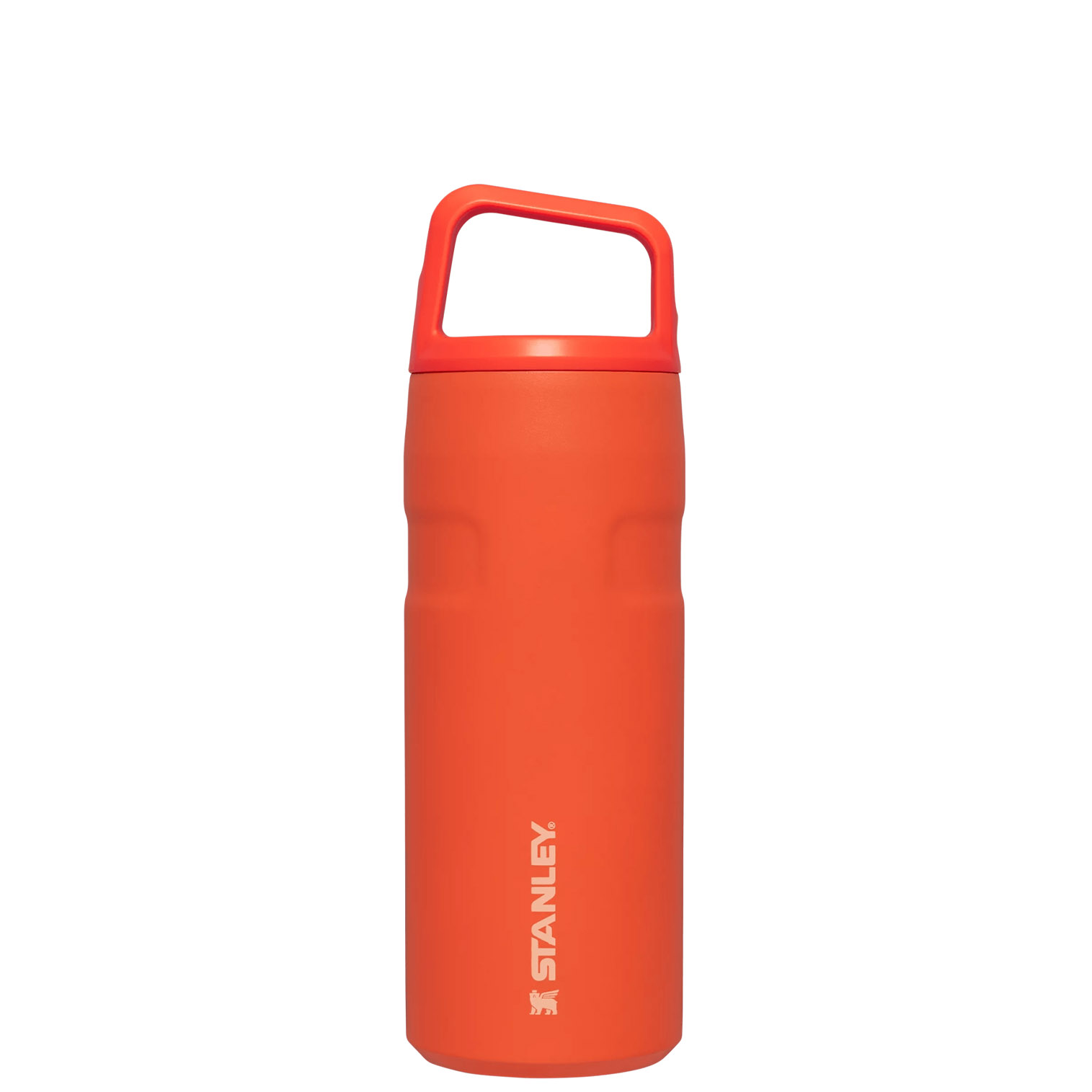 Tigerlily Stanley IceFlow™ Bottle with Cap and Carry+ Lid | 16 OZ | FOXP46019